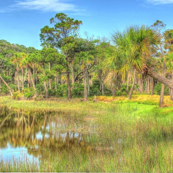 a view of the Georgia marsh landscape