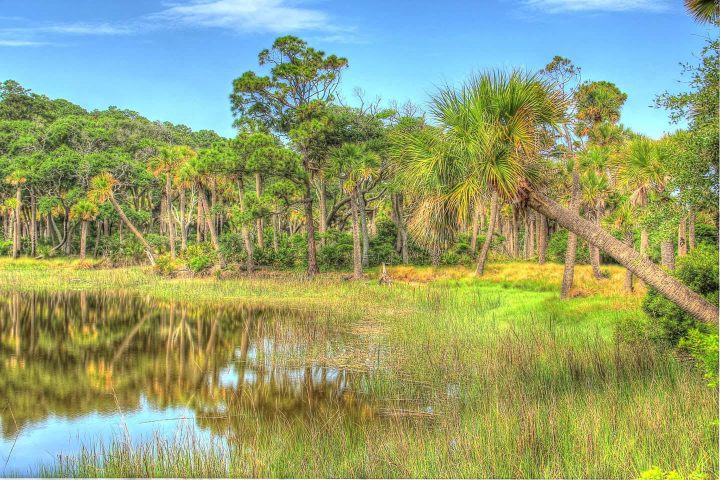 a view of the Georgia marsh landscape