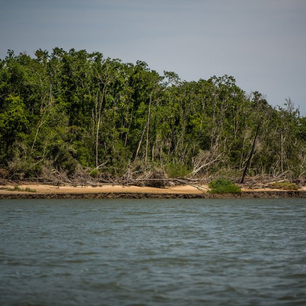 shore view of a private island