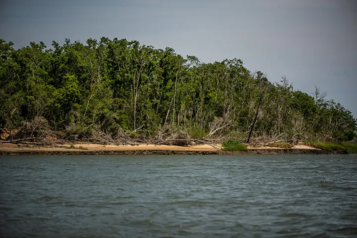 shore view of a private island