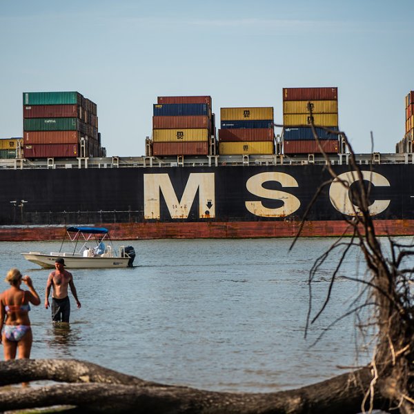 swimming and cruising close to ocean tankers