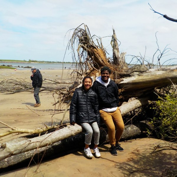 people sitting on drift wood on an island