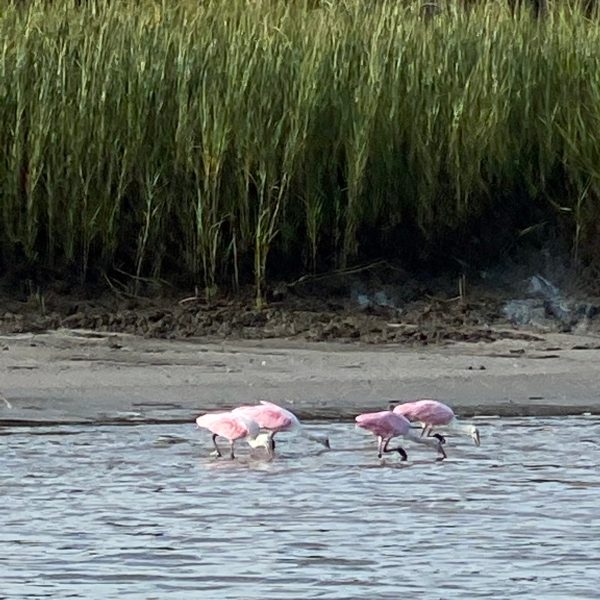 a group of people standing next to a body of water