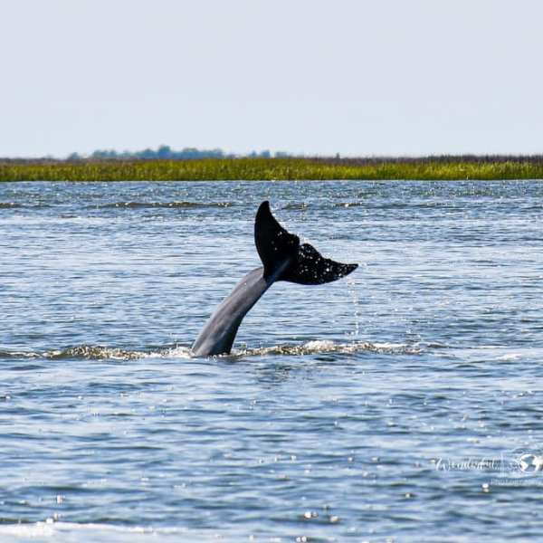 a man standing next to a body of water