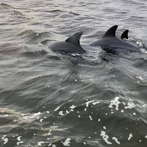 a person riding a wave on top of a body of water