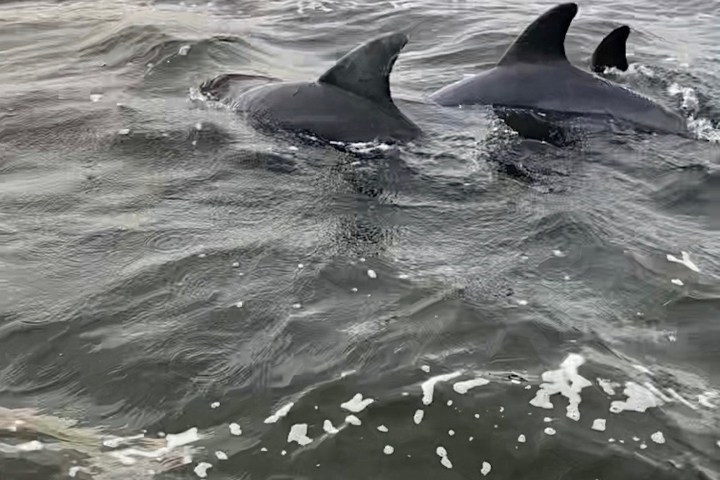 a person riding a wave on top of a body of water