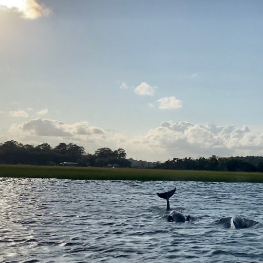 a large body of water