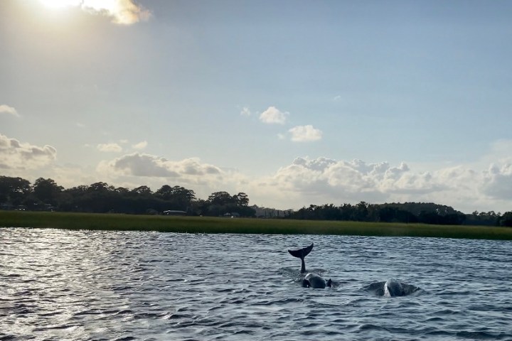 a large body of water