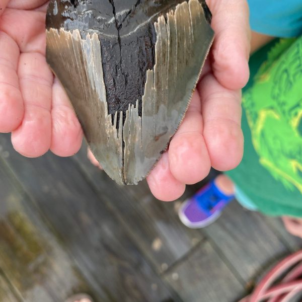 a hand holding a small piece of food