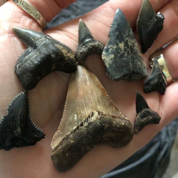 a hand holding a fork and knife