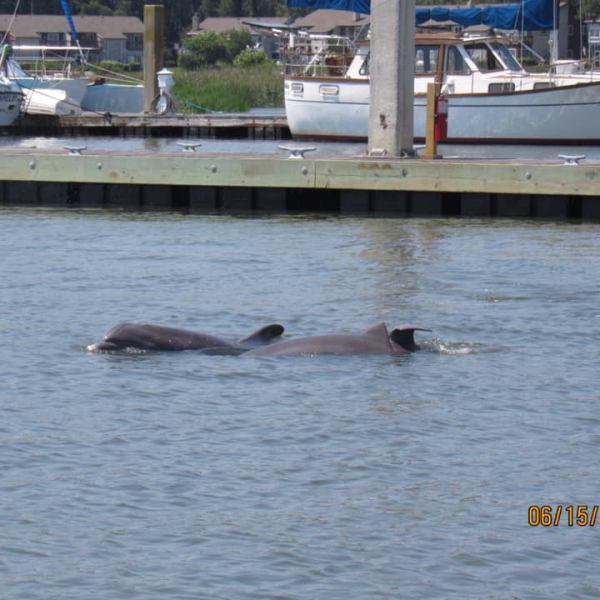 a small boat in a large body of water